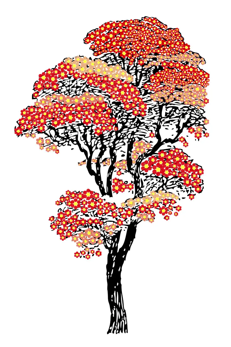 Japanese Autumn Tree